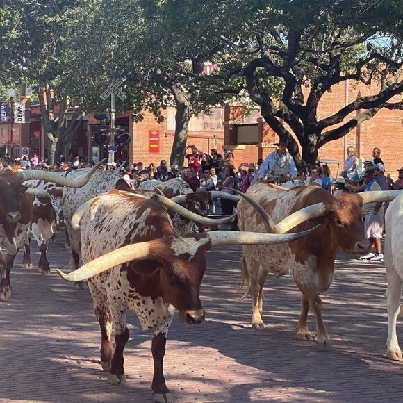 Loves sharing - Picture 5 of 16